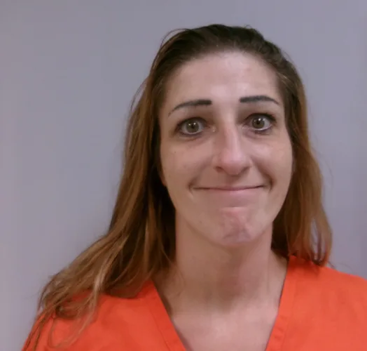 Elkins woman accused of stealing $50K